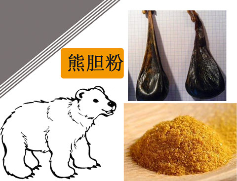 熊胆粉