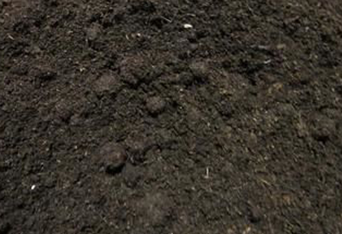 泥碳土进口手续代理