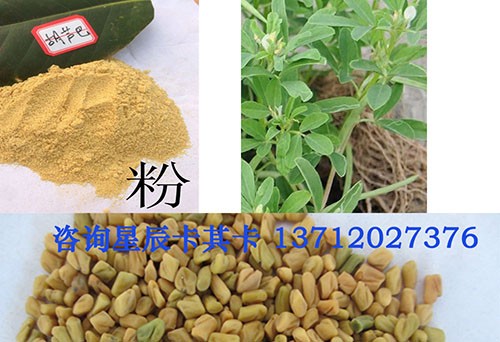 中药材胡芦巴籽进出口代理