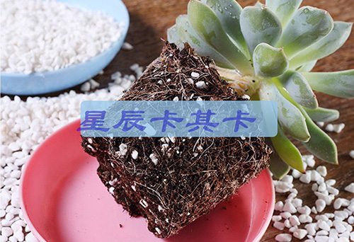 珍珠岩进口